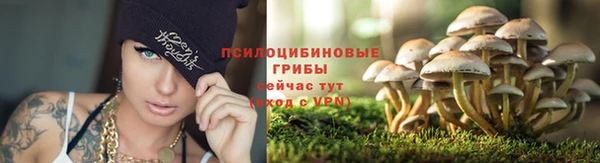 героин Алексин