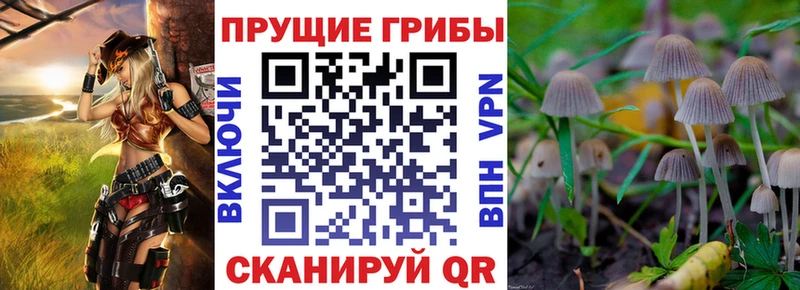 Псилоцибиновые грибы ЛСД продажа наркотиков Курган