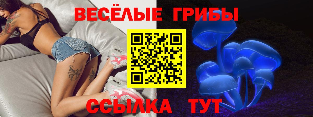 Псилоцибиновые грибы MAGIC MUSHROOMS  Вход с VPN  магазин продажи наркотиков  Курган  Галлюциногенные грибы Magic Shrooms 