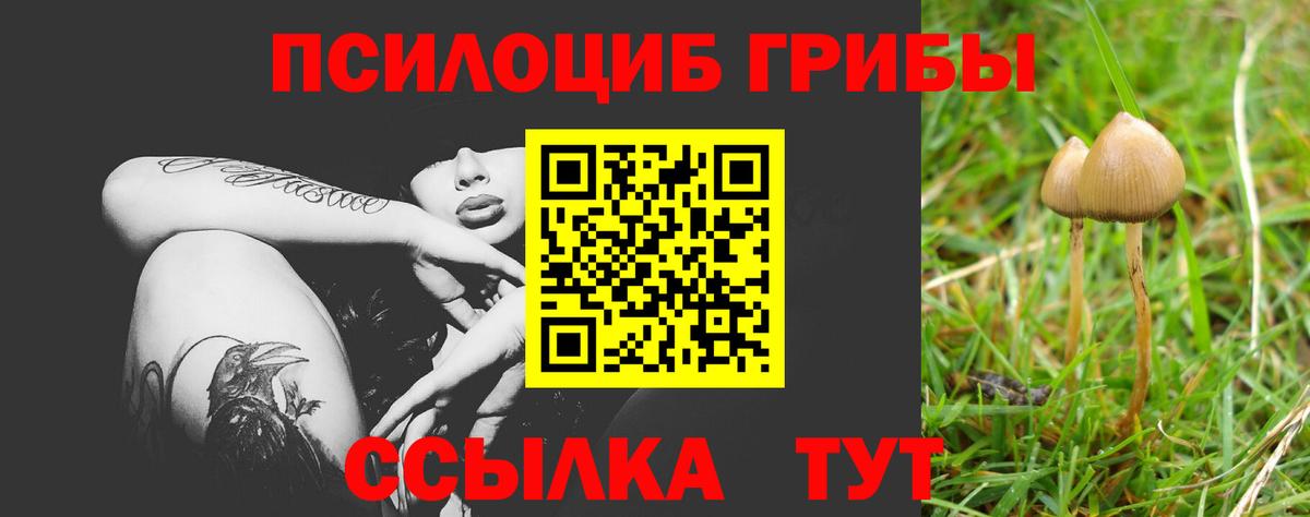Псилоцибиновые грибы мухоморы  Курган 