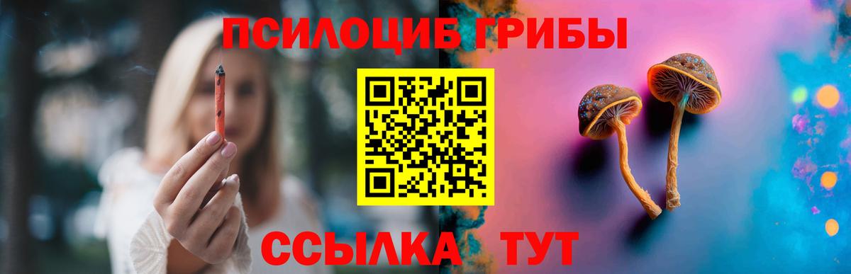 Галлюциногенные грибы прущие грибы Курган